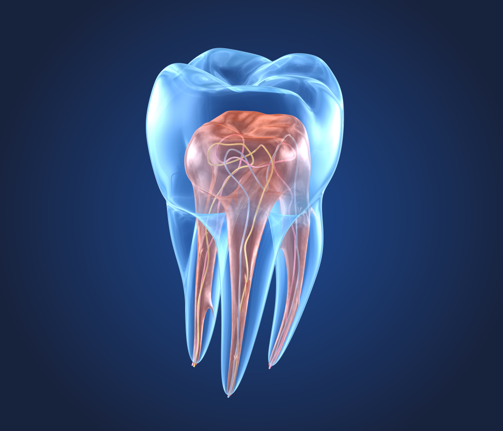 root-canal-treatment-good-or-bad